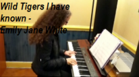 video piano Wild Tigers
